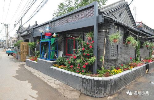 胡桃新皮肤最新爆料2025,惊艳亮相,引领潮流新风尚